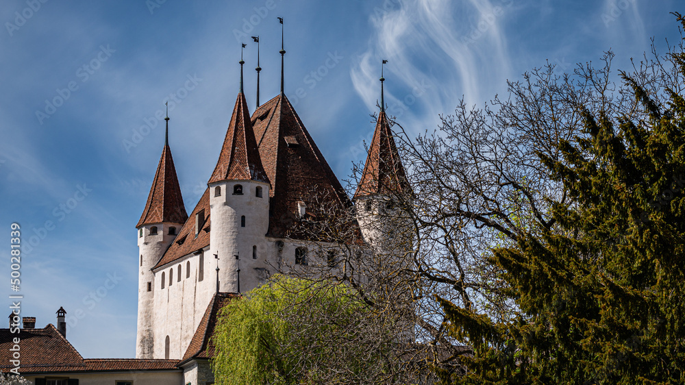 Obraz premium Schloss Thun