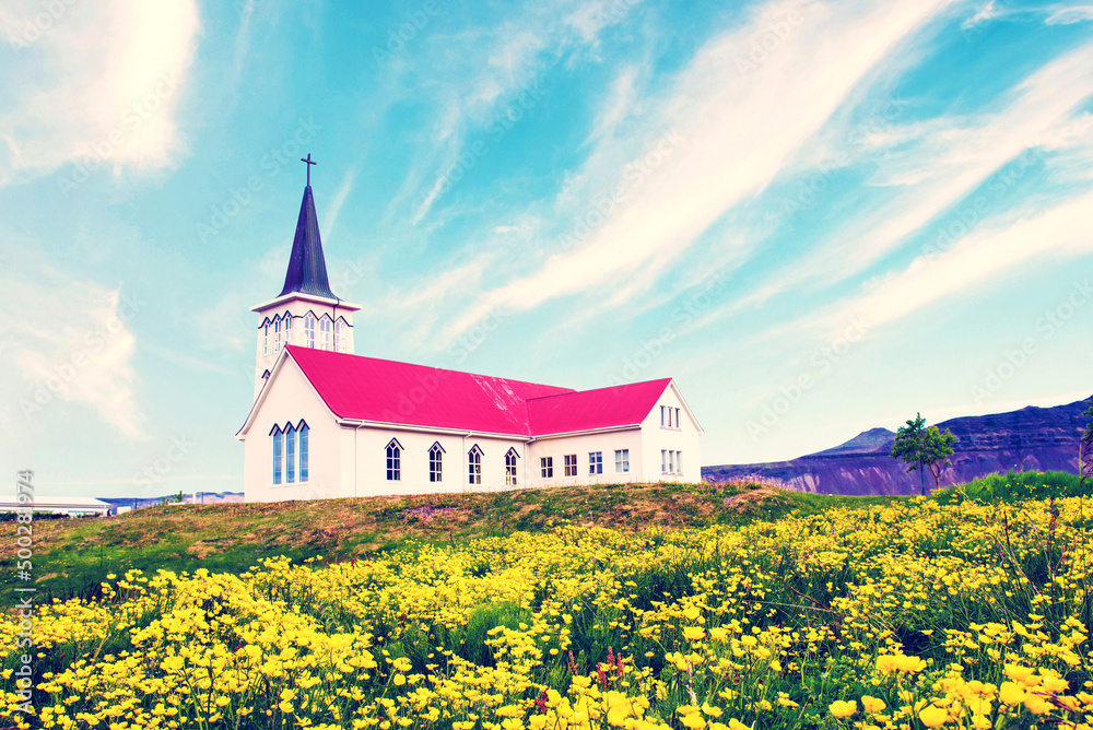 Beautiful landscape with Grundafjordur church and yellow flowers  near waterfall Kirkjufell.