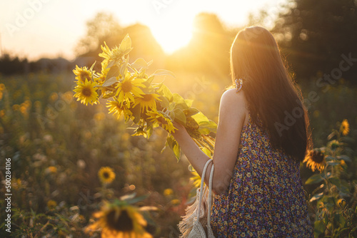 Fotografie, Obraz Beautiful woman gathering sunflowers in warm sunset light in summer meadow