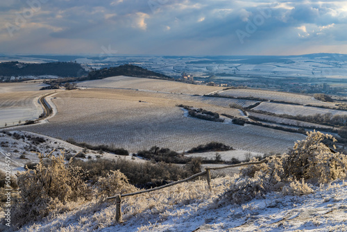 Fototapeta Naklejka Na Ścianę i Meble -  Winter landscape near Mikulov, Palava region, Southern Moravia, Czech Republic