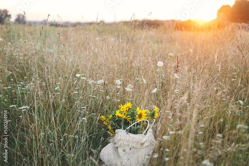 Fototapeta Naklejka Na Ścianę i Meble -  Beautiful sunflowers in straw bag in summer meadow in warm sunset light . Tranquil atmospheric moment in countryside. Gathering sunflowers bouquet among wildflowers in evening field