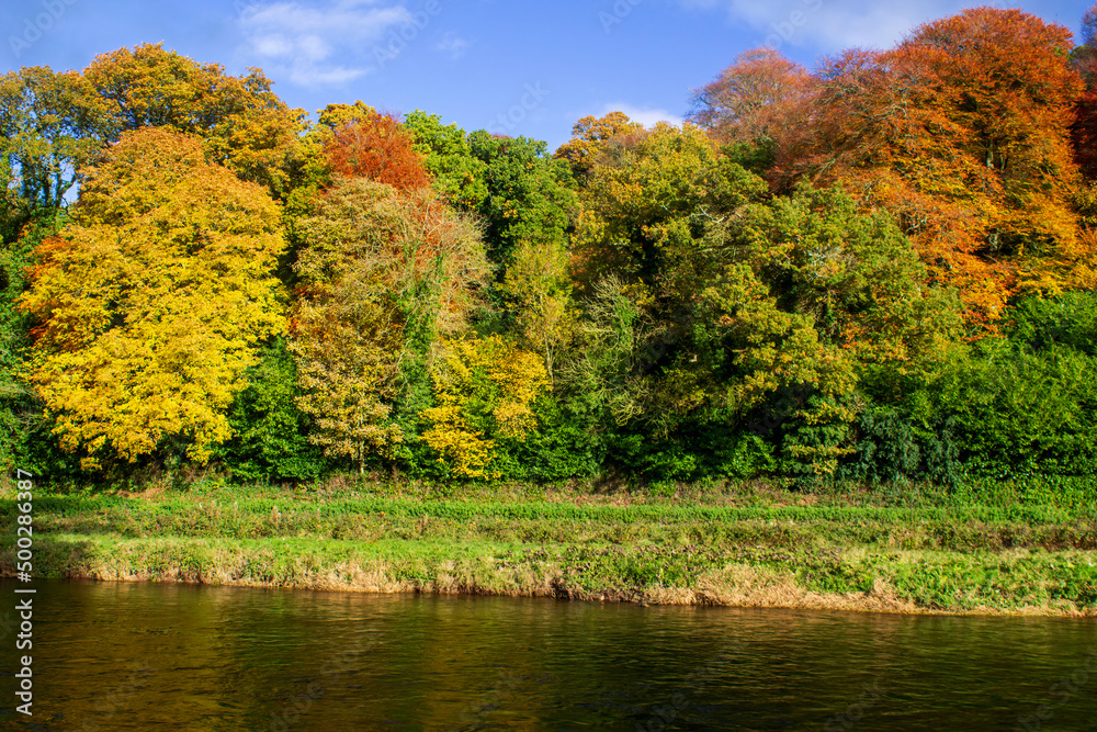 Trees in autumn colors