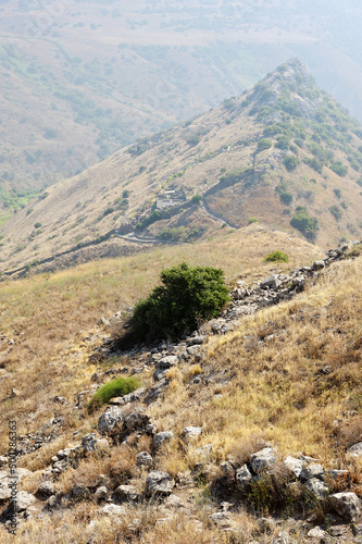 Slika na platnu Gamla Nature Reserve in Israel - the ancient city and the tallest waterfall in t