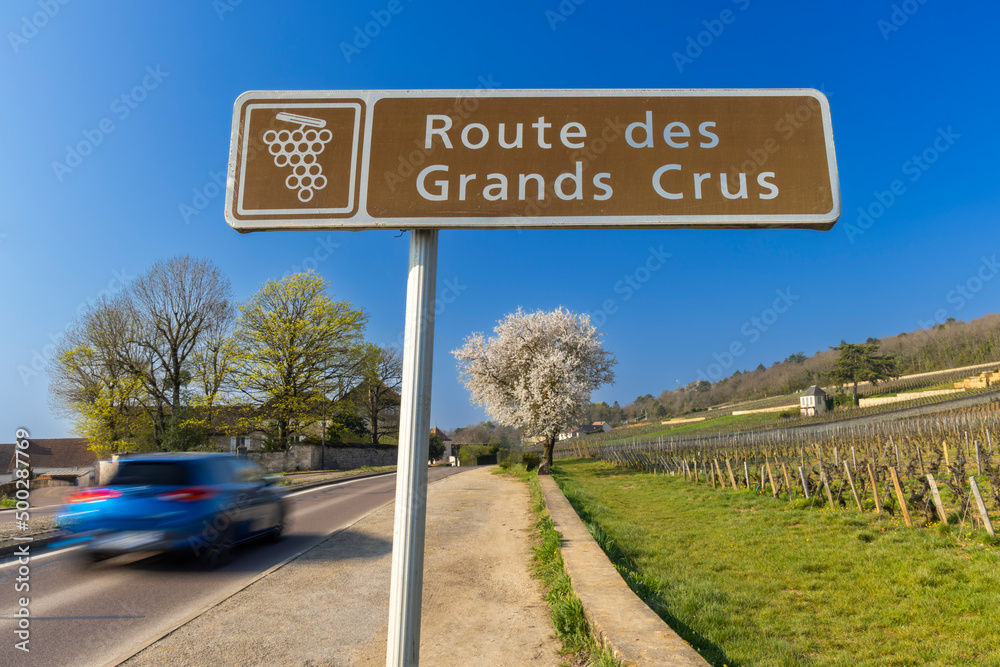 Wine road (Route des Grands Crus) near Beaune, Burgundy, France