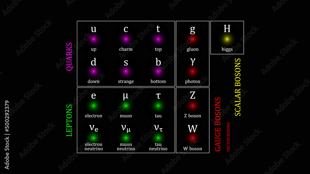 Standard Model of Elementary Particles vector design Standard Model of Elementary Particles vector design