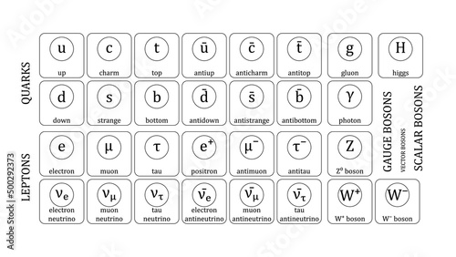 Standard Model of Elementary Particles vector design photo