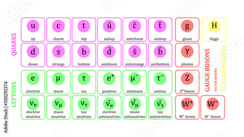 Standard Model of Elementary Particles vector design