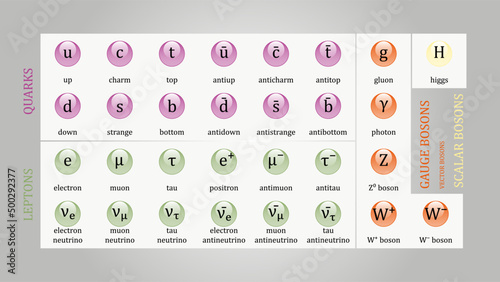 Standard Model of Elementary Particles vector design