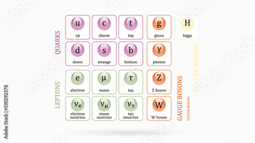 Standard Model of Elementary Particles vector design