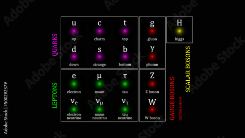 Standard Model of Elementary Particles vector design
