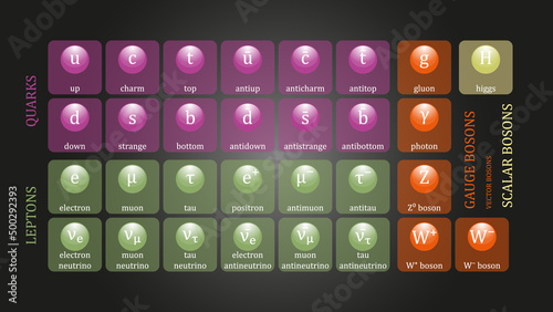 Standard Model of Elementary Particles vector design