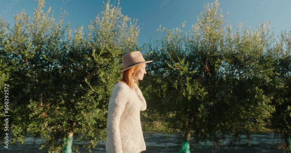 Stylish woman walks along row of olive trees on sunny day