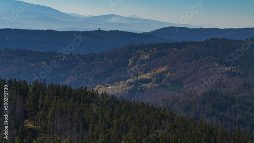 Autumn colors in mountain forests - Gorce Mountains