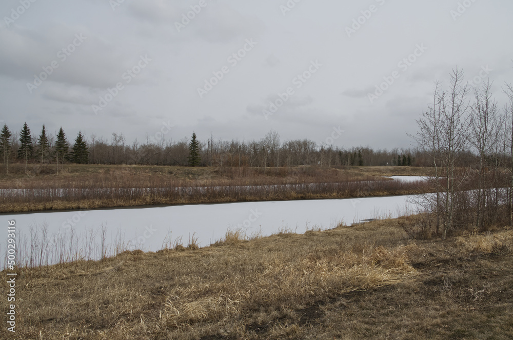 Pylypow Wetlands on a Cloudy Spring Day Pylypow Wetlands on a Cloudy Spring Day