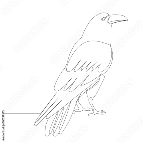 Raven one continuous line drawing, sketch, vector