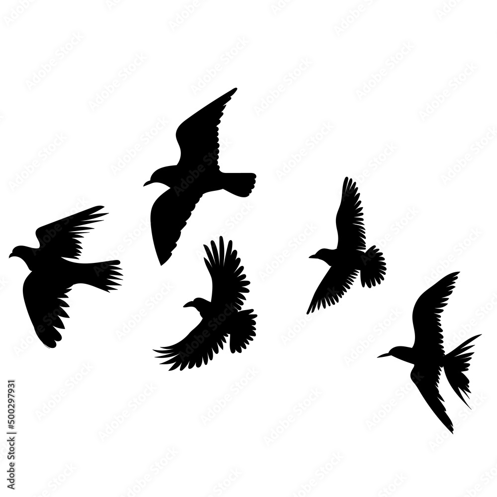 Obraz premium birds flying silhouette, on white background, isolated, vector