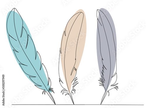 bird feathers drawing in one continuous line, sketch, vector