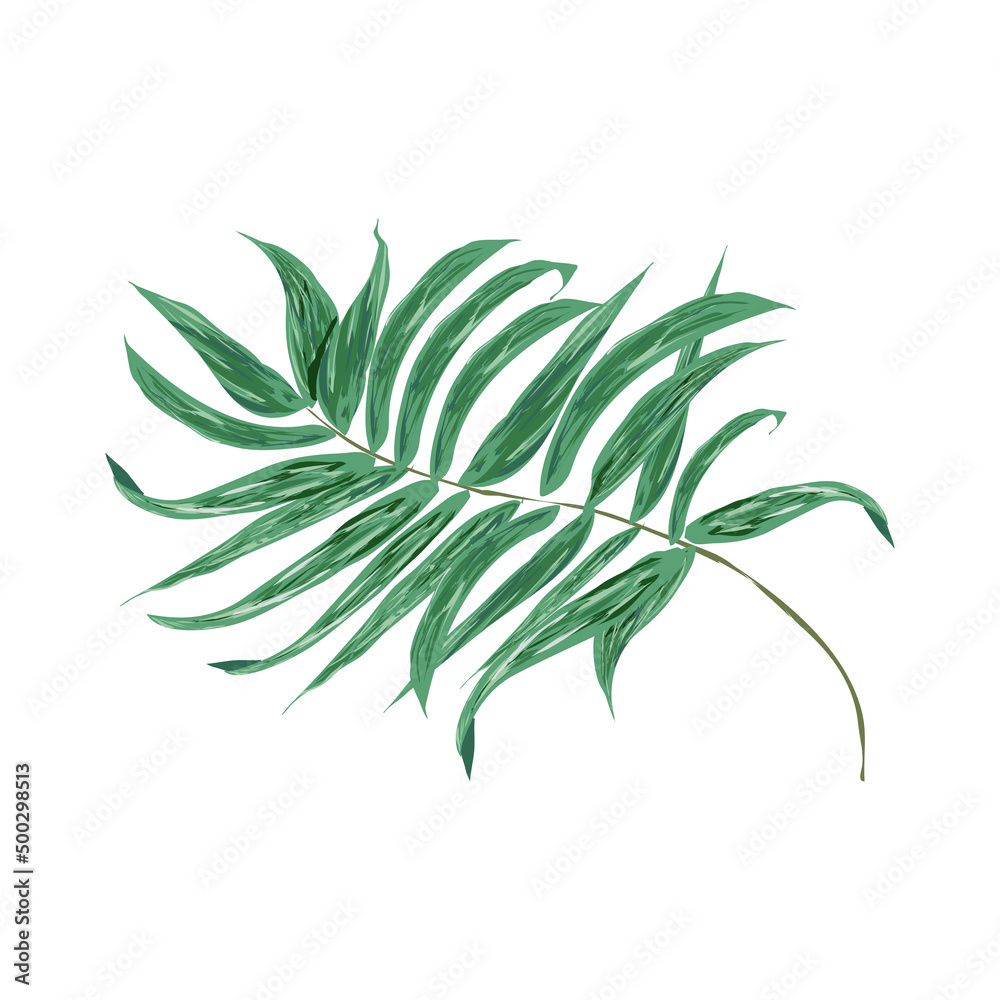 liść palmy - grafika wektorowa - izolowany - obrazy, fototapety, plakaty 
