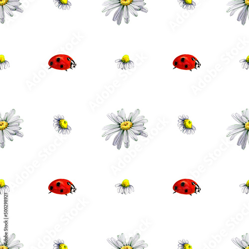 Seamless pattern chamomile ladybug watercolor. Summer background of buds of white daisy flowers. Flowering plant. Hand drawn botanical illustration. Fabric design, packaging. © Mari Bryk