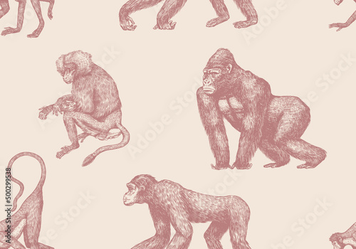 Bonobo or chimpanzee Seamless pattern. Western gorilla Orangutan. Vintage poster or banner. Colombian capuchin Proboscis monkey. Spider or Southern muriqui. Hand drawn engraved sketch. woodcut style. 