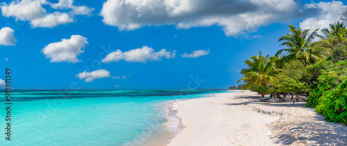 Paradise island beach. Tropical landscape of summer scenic, sea sand sky with palm trees. Luxury travel vacation destination. Exotic beach landscape. Amazing nature, relax, freedom nature template © icemanphotos