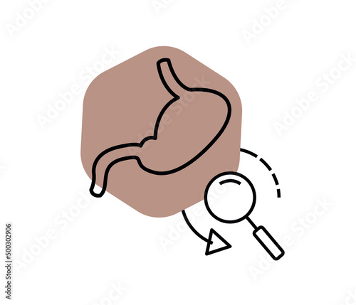 human stomach and magnifying glass icon. healthcare and treatment concept. I research medicine. editable vector.
