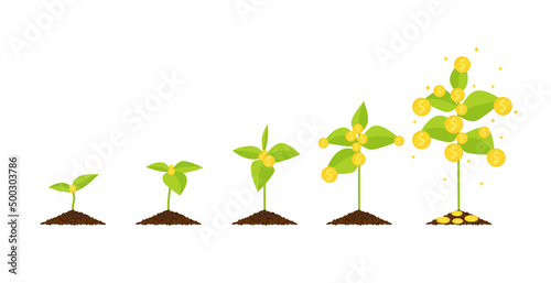 vector flat design growing money tree step by step concept business saving invesment