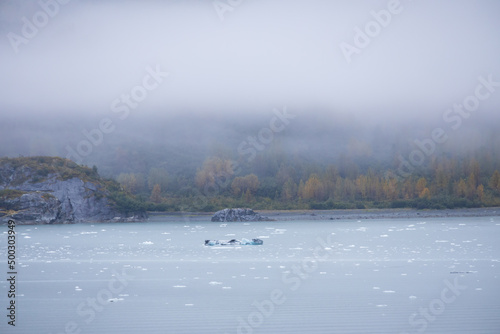 Ice chunks in the water and mountain background at Glacier Bay, Alaska, USA 