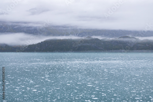 Ice chunks in the water at Glacier Bay  Alaska  USA 