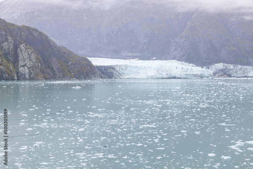 Ice chunks in the water and glacier in background at Glacier Bay, Alaska, USA
Ice chunks in the water and glacier in background at Glacier Bay, Alaska, USA