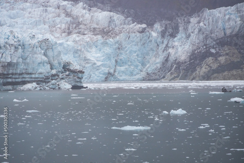 Ice chunks in the water and glacier in background at Glacier Bay, Alaska, USA 