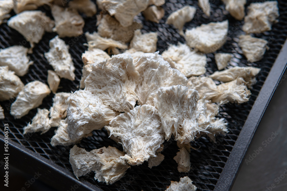 Hericium erinaceus is a medicinal mushroom for mental health. Medicinal