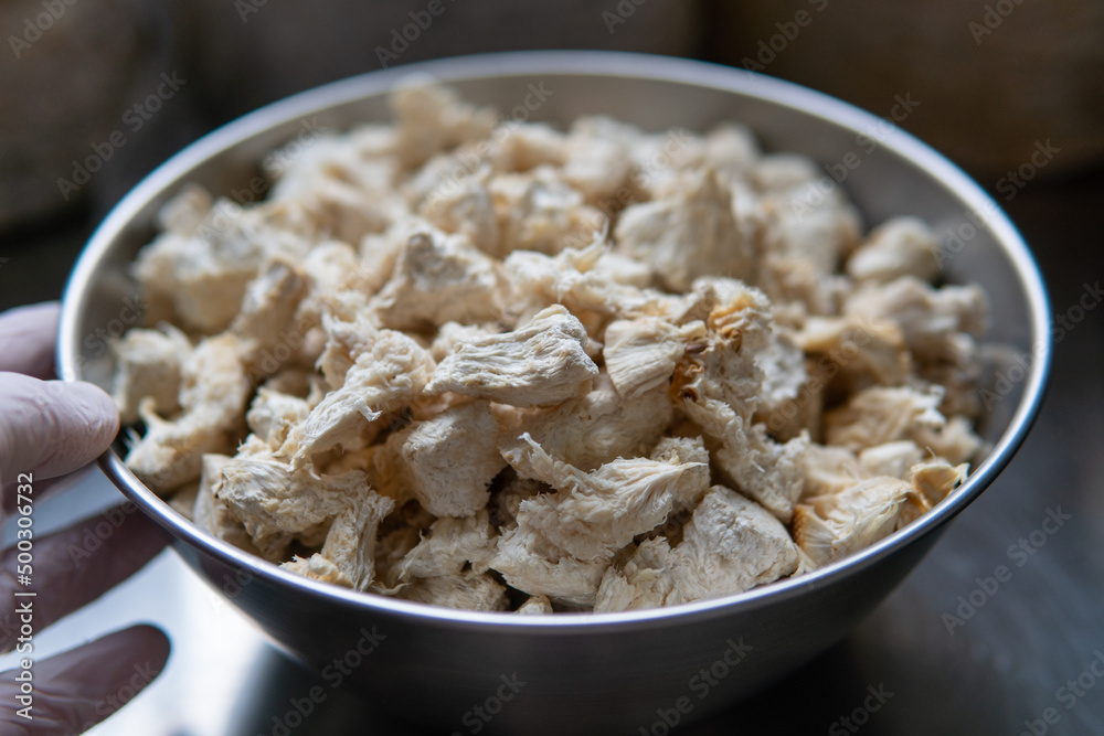 Hericium erinaceus medicinal mushroom nootropic. Fruiting bodies of Hericium erinaceus prepared for reception Hericium erinaceus medicinal mushroom nootropic. Fruiting bodies of Hericium erinaceus prepared for reception