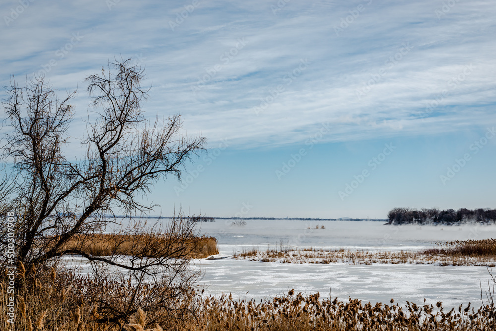 Cold winter day by the St. Lawrence river Cold winter day by the St. Lawrence river
