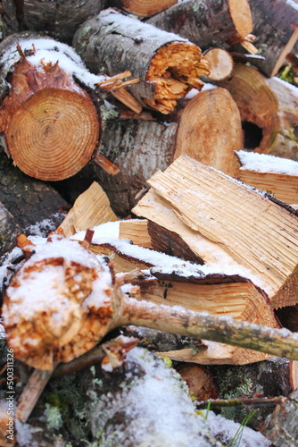 A pile of firewood lay scattered with snow after the snow fell.