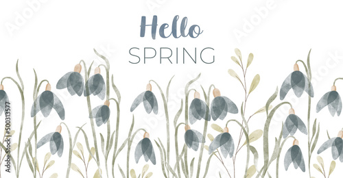 Hello spring floral horizontal card with snowdrops flowers. Watercolor hand drawn isolated illustration border, meadow or floral background for your design.