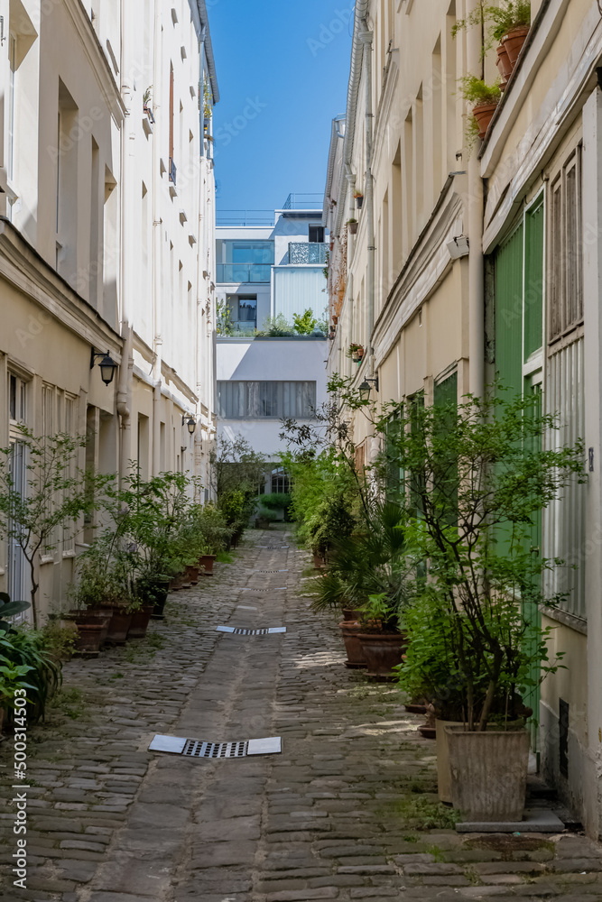 Fototapeta premium Paris, typical flowering alley in the 11e arrondissement, charming courtyard