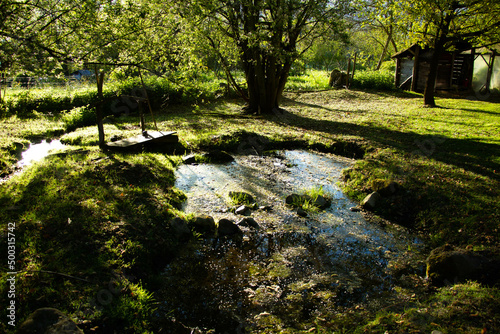 Fototapeta Naklejka Na Ścianę i Meble -  Pond in a garden with raking light. Green grass, tree and small bridge.