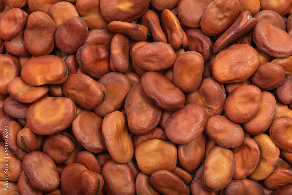 Dried organic healthy fava beans close-up as background Dried organic healthy fava beans close-up as background