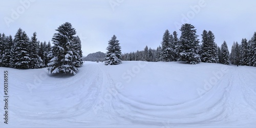 Fototapeta Naklejka Na Ścianę i Meble -  Tatra Mountains in Winter Snow 360 HDRI Panorama