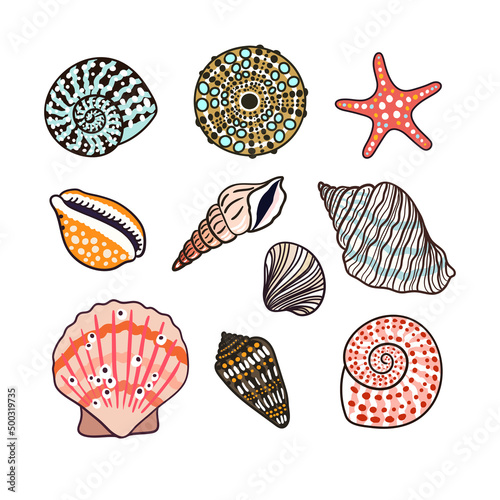 Sea shells, fossils and mollusks object set. Summer beach hand-drawn seaside vector print. Fashion bright multicolored illustration. Seashore elements design