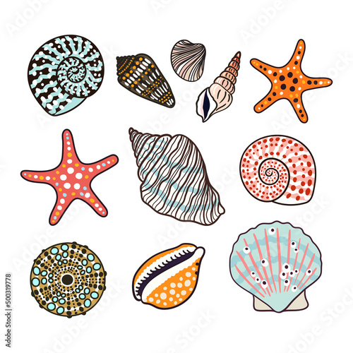Sea shells, fossils and mollusks object set. Summer beach hand-drawn seaside vector print. Fashion bright multicolored illustration. Seashore elements design