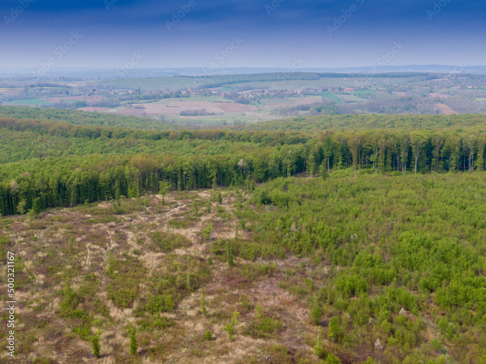 Beautiful forest on Bilogora, near village Zrinski Topolovac Beautiful forest on Bilogora, near village Zrinski Topolovac