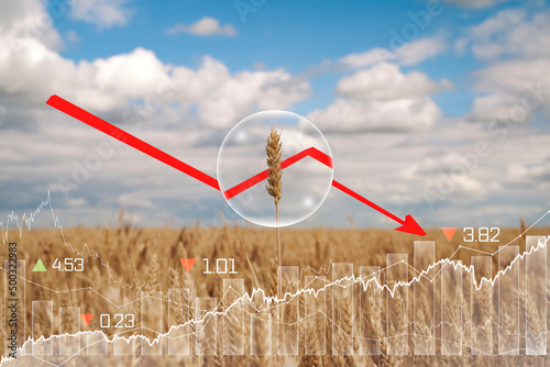 Global and European grain and wheat crisis after Russia's invasion of Ukraine. Embargo and sanction for export of grain, Food of Agriculture.