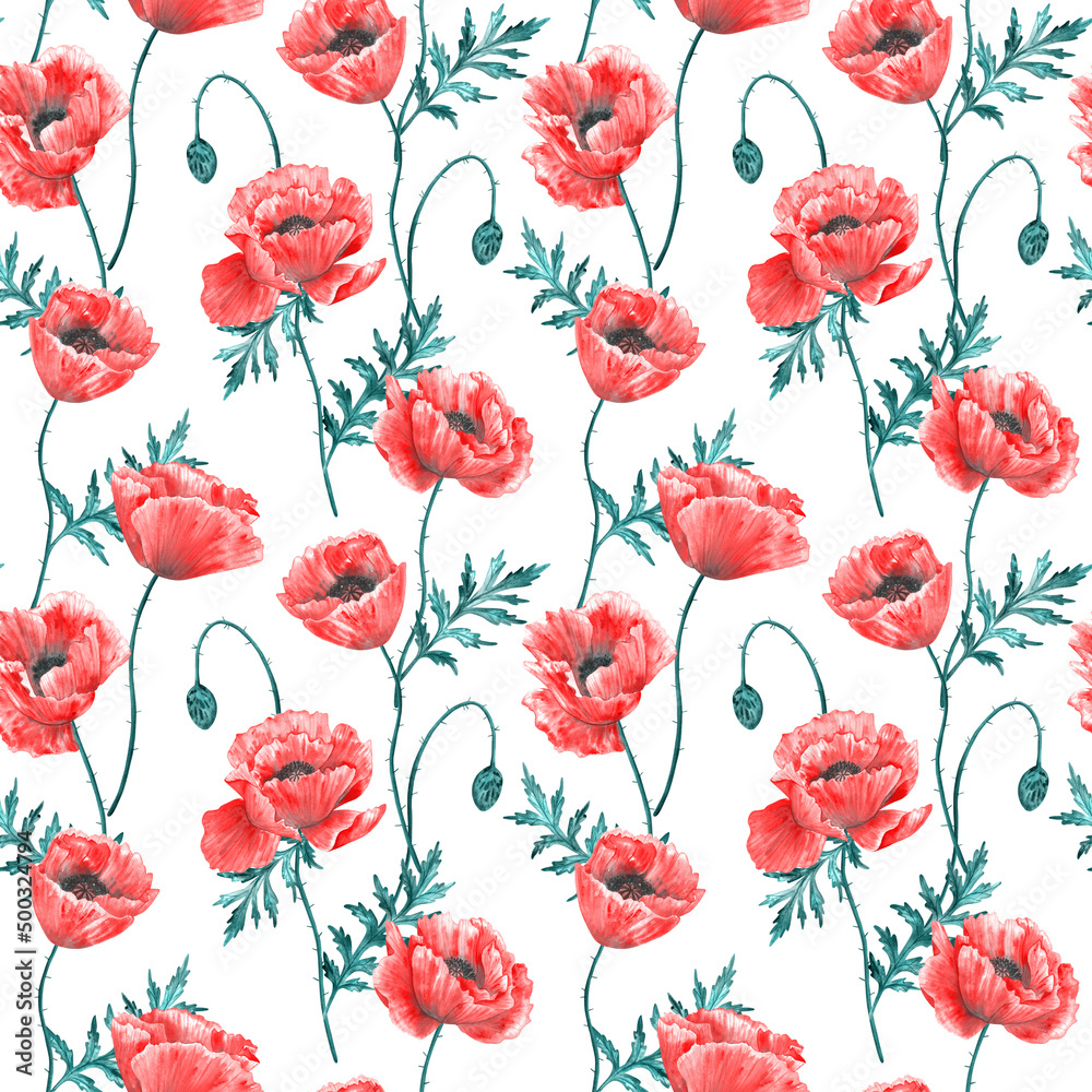 Fototapeta premium Floral seamless background. Pattern with beautiful watercolor poppy flowers on white. Botanical hand drawn illustration. Texture for print, fabric, textile, wallpaper.