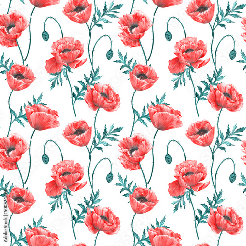 Floral seamless background. Pattern with beautiful watercolor poppy flowers on white. Botanical hand drawn illustration. Texture for print, fabric, textile, wallpaper.