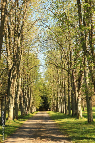 Schlosspark Rauischholzhausen.