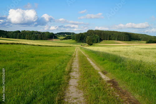 a scenic endless road leading through the green fields of the gorgeous Bavarian countryside in Birkach on a sunny summer day with fluffy white clouds in the blue sky  Bavaria  Germany 