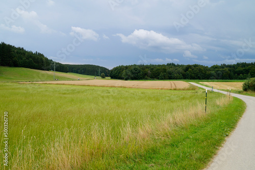 endless road leading through the green fields of the Bavarian countryside by the Birkach village on an overcast summer day (Birkach, Bavaria, Germany) photo