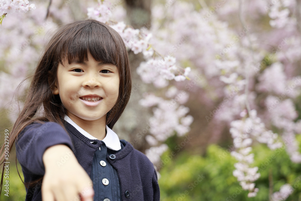 女子小学生と桜 (7歳) 女子小学生と桜 (7歳)